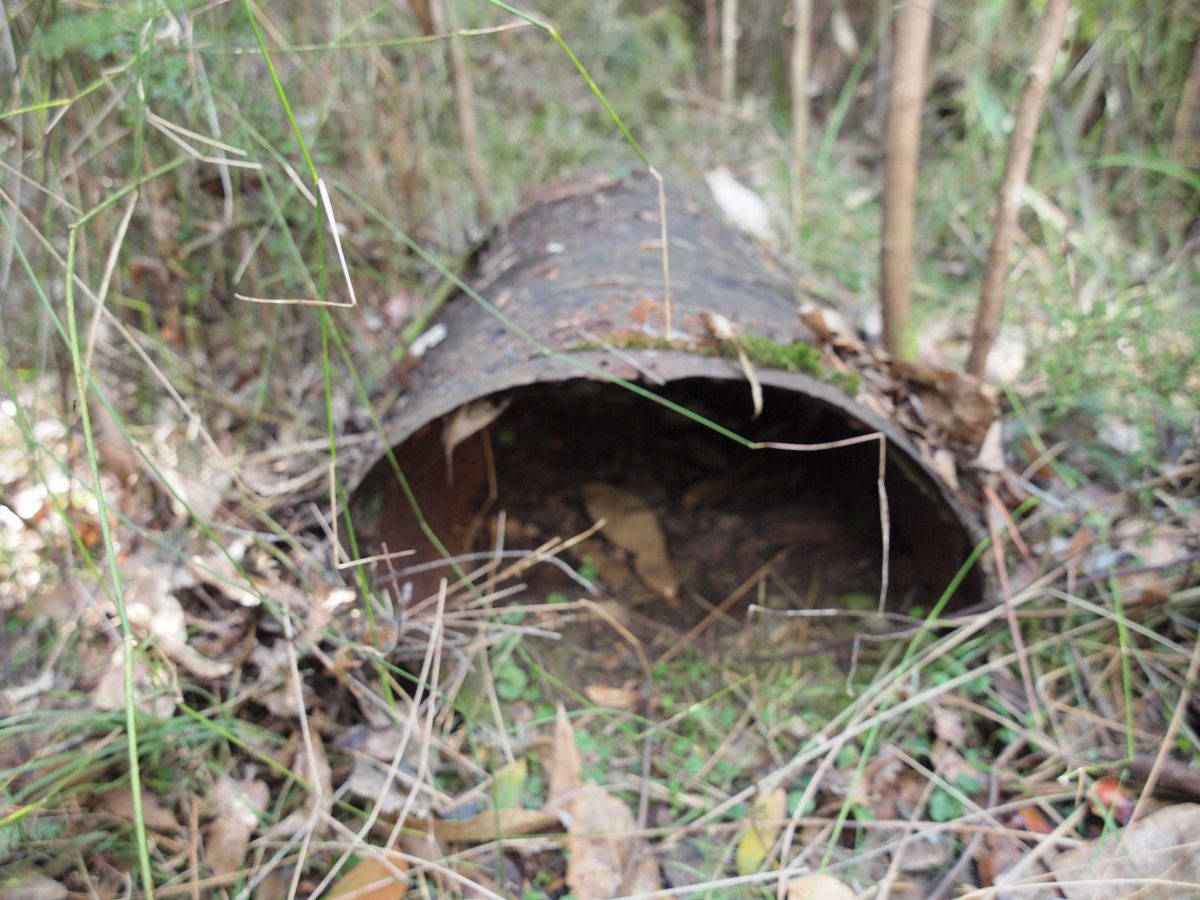 Other Sawmills - Splitters and Sawmillers | Wandong History Group ...